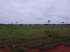 Fazenda rio negro - 2680 ha